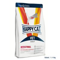 HC-VET-Adult-Intestinal.jpg