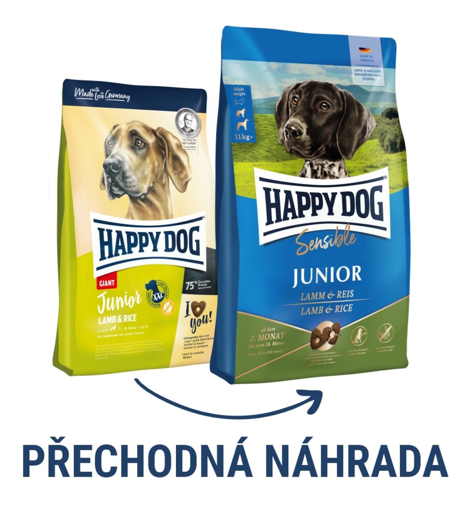 Prechodna-nahrada-na-Junior.jpg