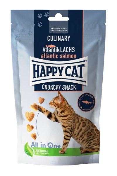 Culinary Crunchy Snack Atlantik-Lachs 70g