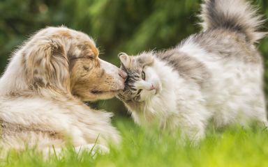 Klíšťata a jak na ně?