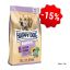 AKCE NaturCroq Senior 15 kg - 15%