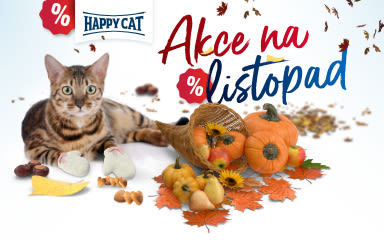 Akčná ponuka na november 2023 pre mačky