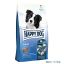 AKCE Fit & Vital Junior 4 kg - 10 %