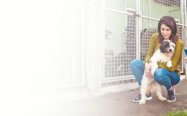 Jaké jsou výhody a nevýhody adopce psa z útulku pro zvířata?