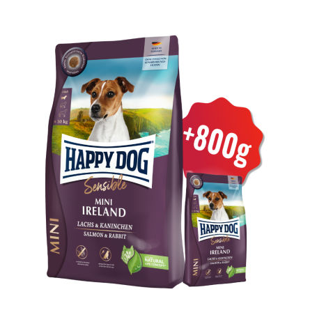 AKCE Sensible Mini Ireland 4 kg + 800g  