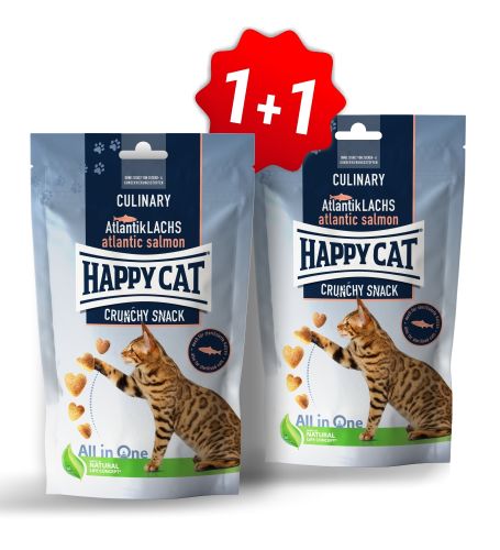 Akce Crunchy Snack Atlantik-Lachs 1+1
