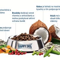 HD-Supreme-Mini-Sensible-India-Vegetarian.jpg